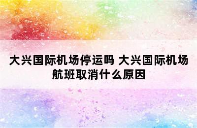 大兴国际机场停运吗 大兴国际机场航班取消什么原因